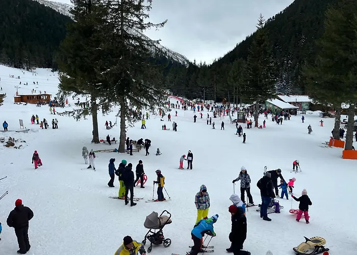 The Cube 度假居 *