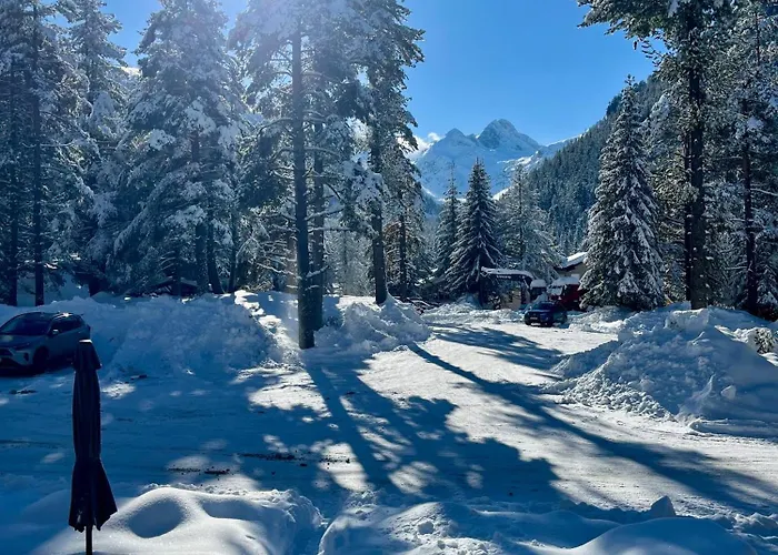 度假居 The Cube 萨莫科夫